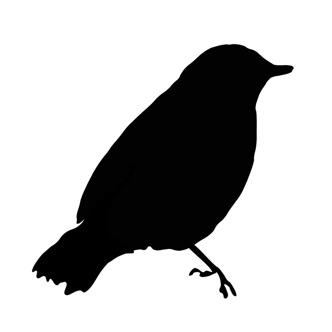 black bird png transparent