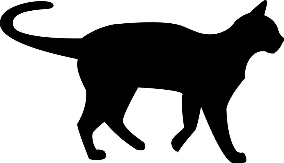 Black Cat Silhouette png transparent
