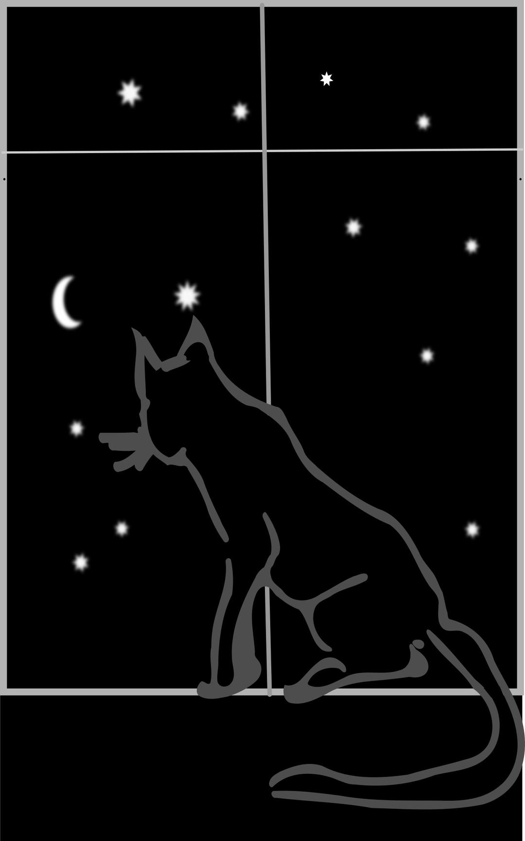 black cat sitting by the window at night png transparent
