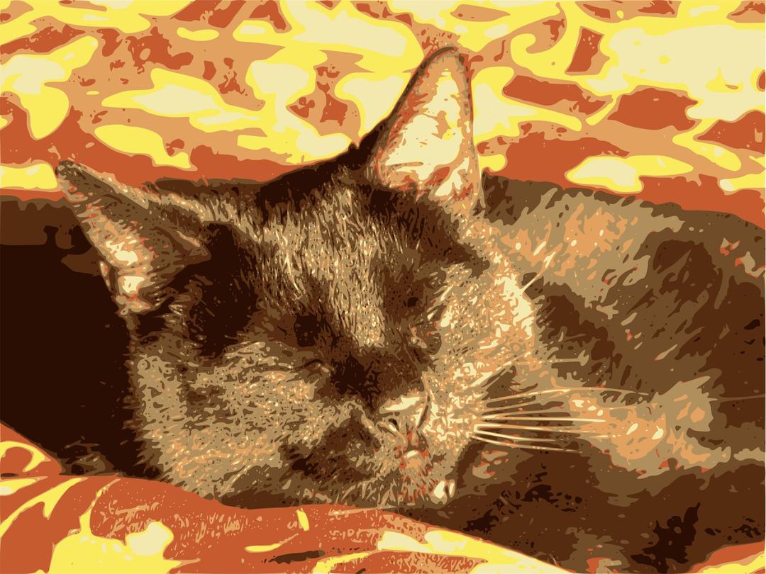 Black cat sleeps png transparent