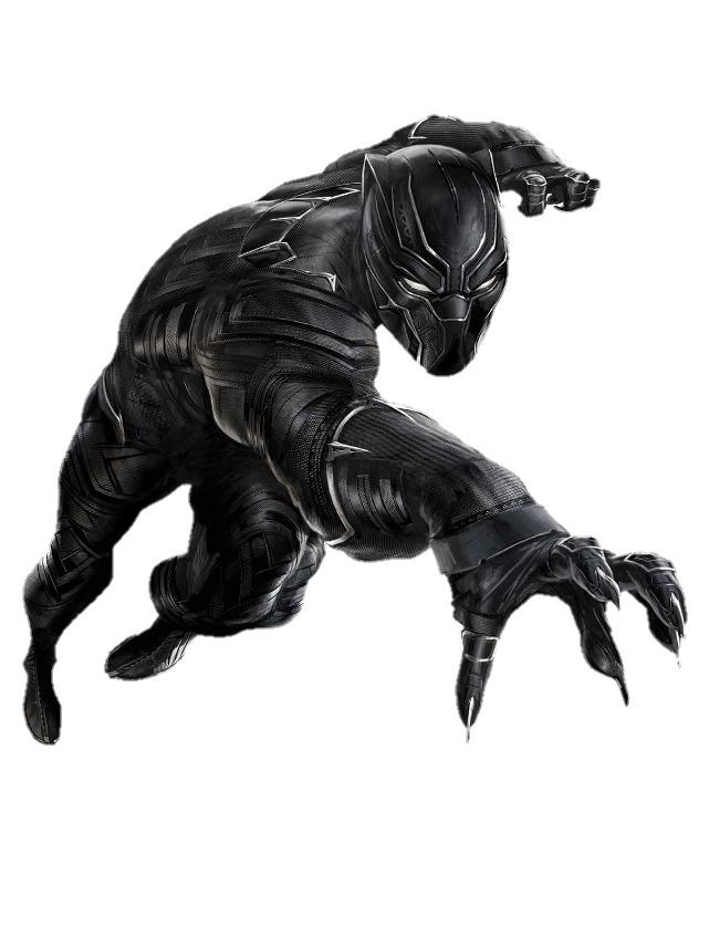 Black Panther Front png transparent