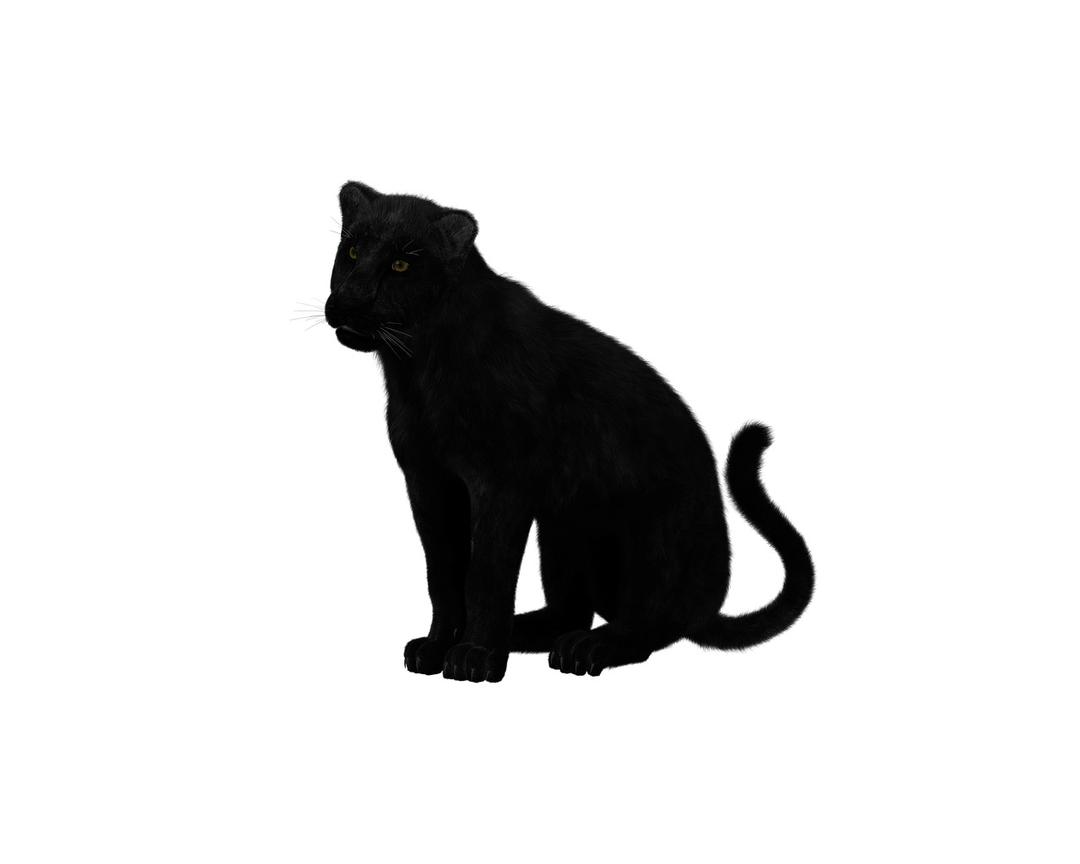 Black Panther Sitting png transparent