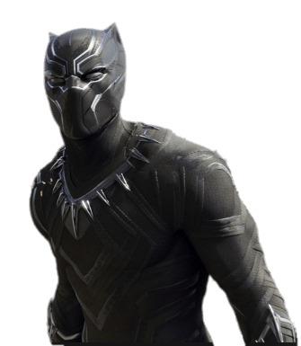 Black Panther Upper Body png transparent