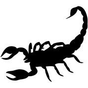 Black Scorpion Tattoo png transparent