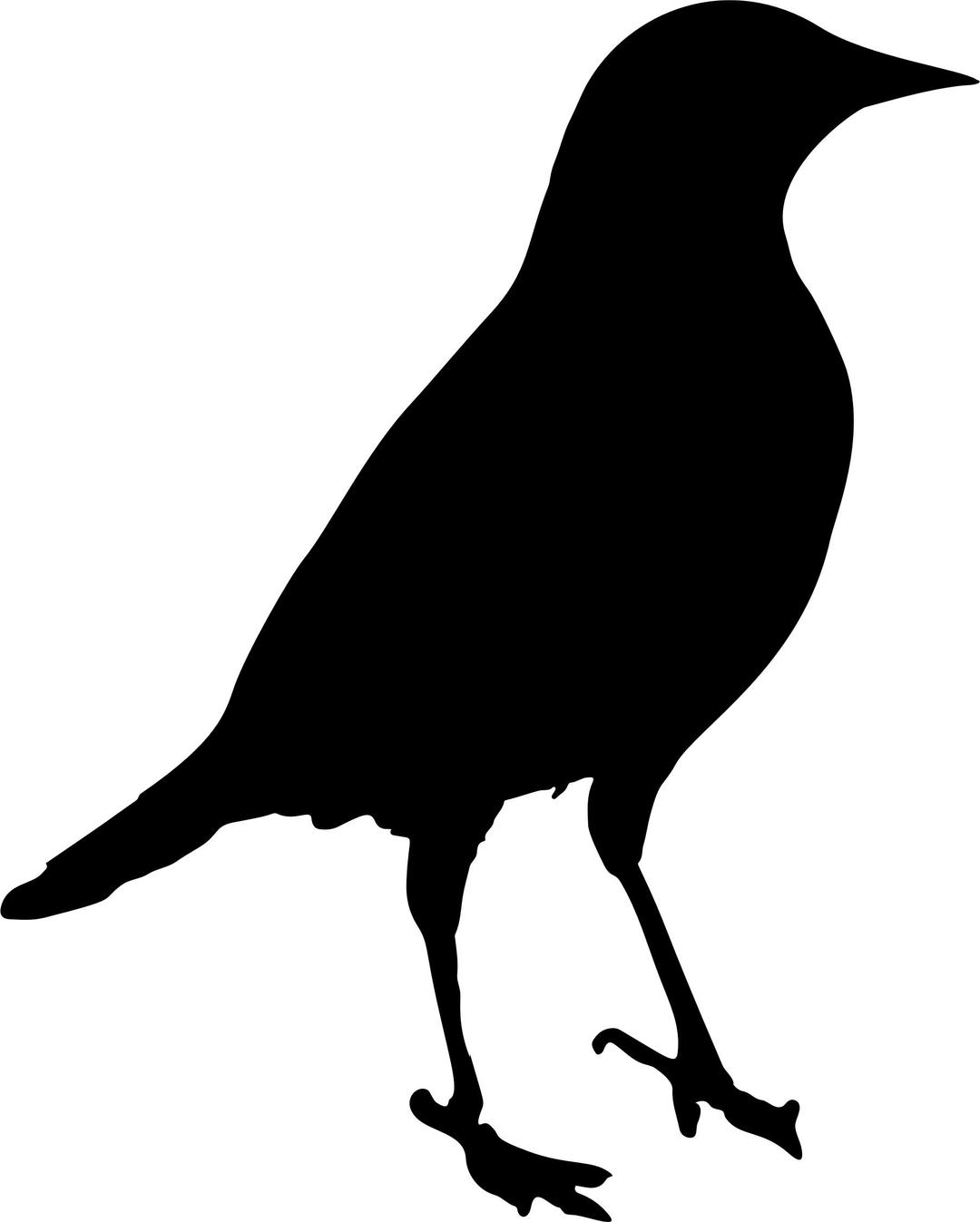 Blackbird Silhouette png transparent