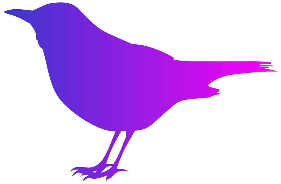 Blackbird with Color png transparent