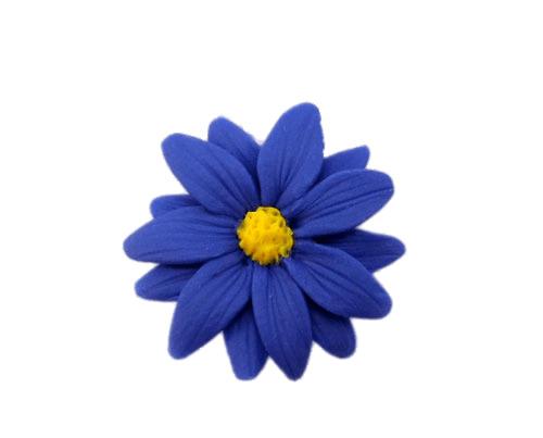 Blue Aster Jewelry png transparent