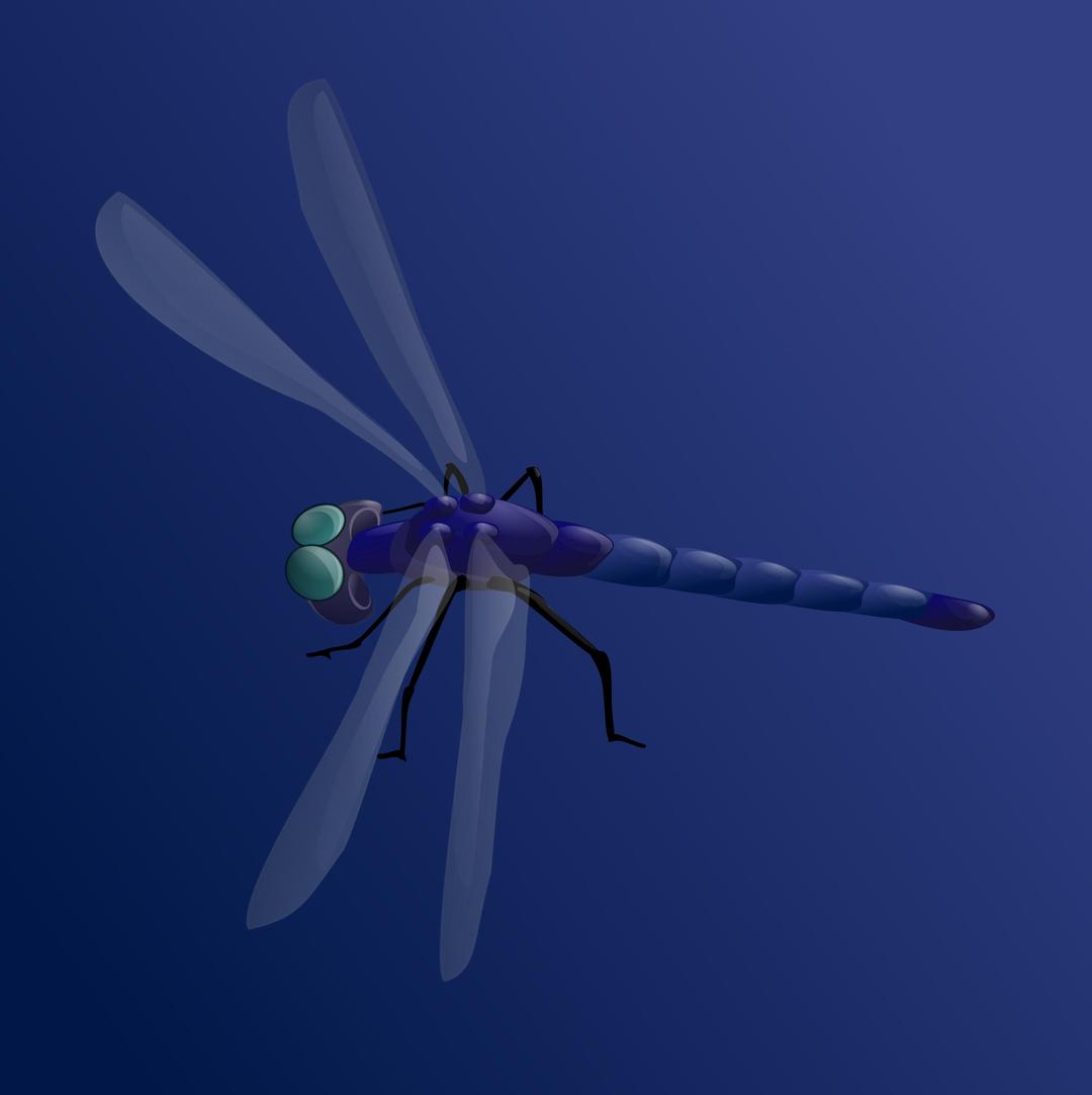 blue dragonfly png transparent