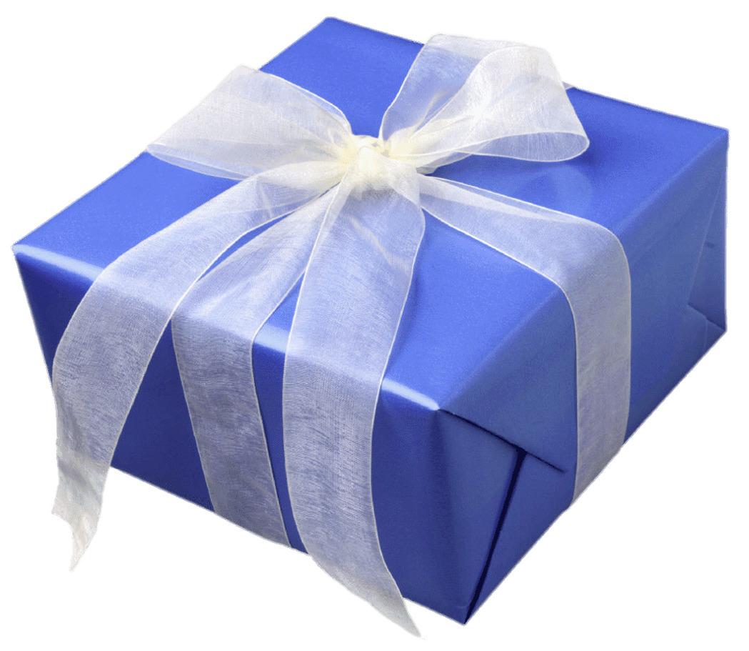 Blue Gift Box With White Ribbon png transparent