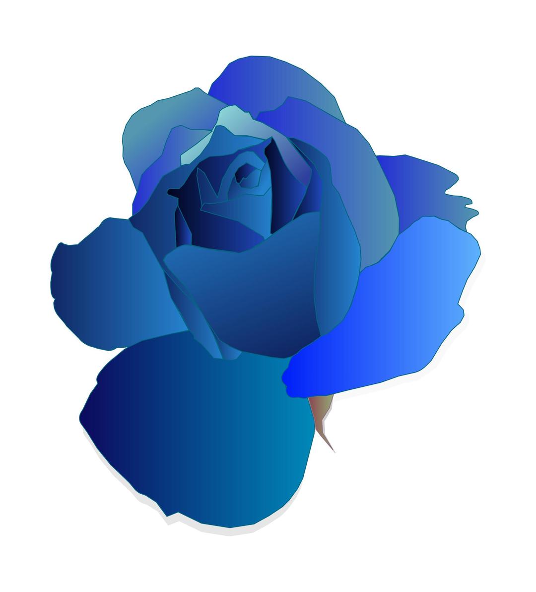 Blue Rose png transparent