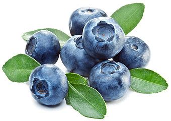 Blueberries and Leaves png transparent