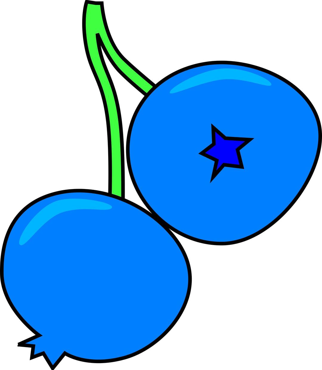 Blueberry png transparent