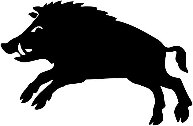 Boar Black and White png transparent