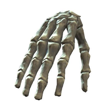 Bones Of the Right Hand png transparent