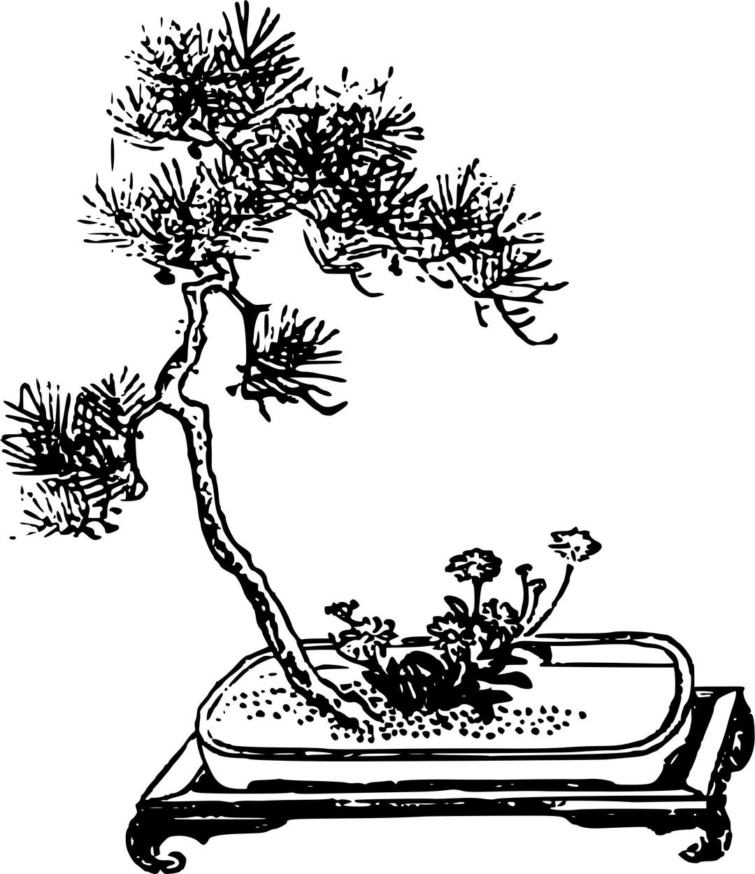Bonsai with Flower png transparent
