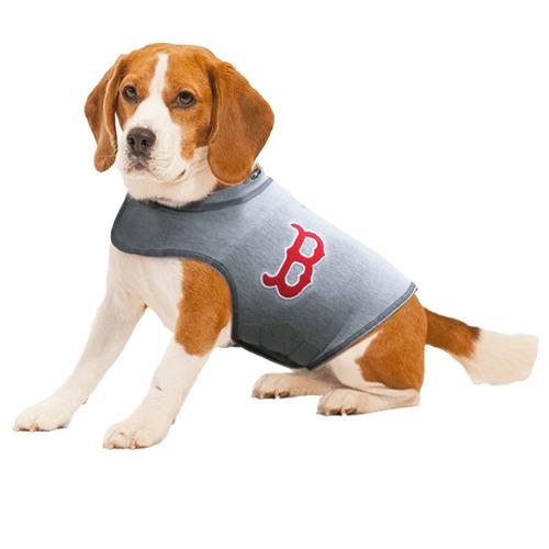 Boston Red Sox Dog Shirt png transparent