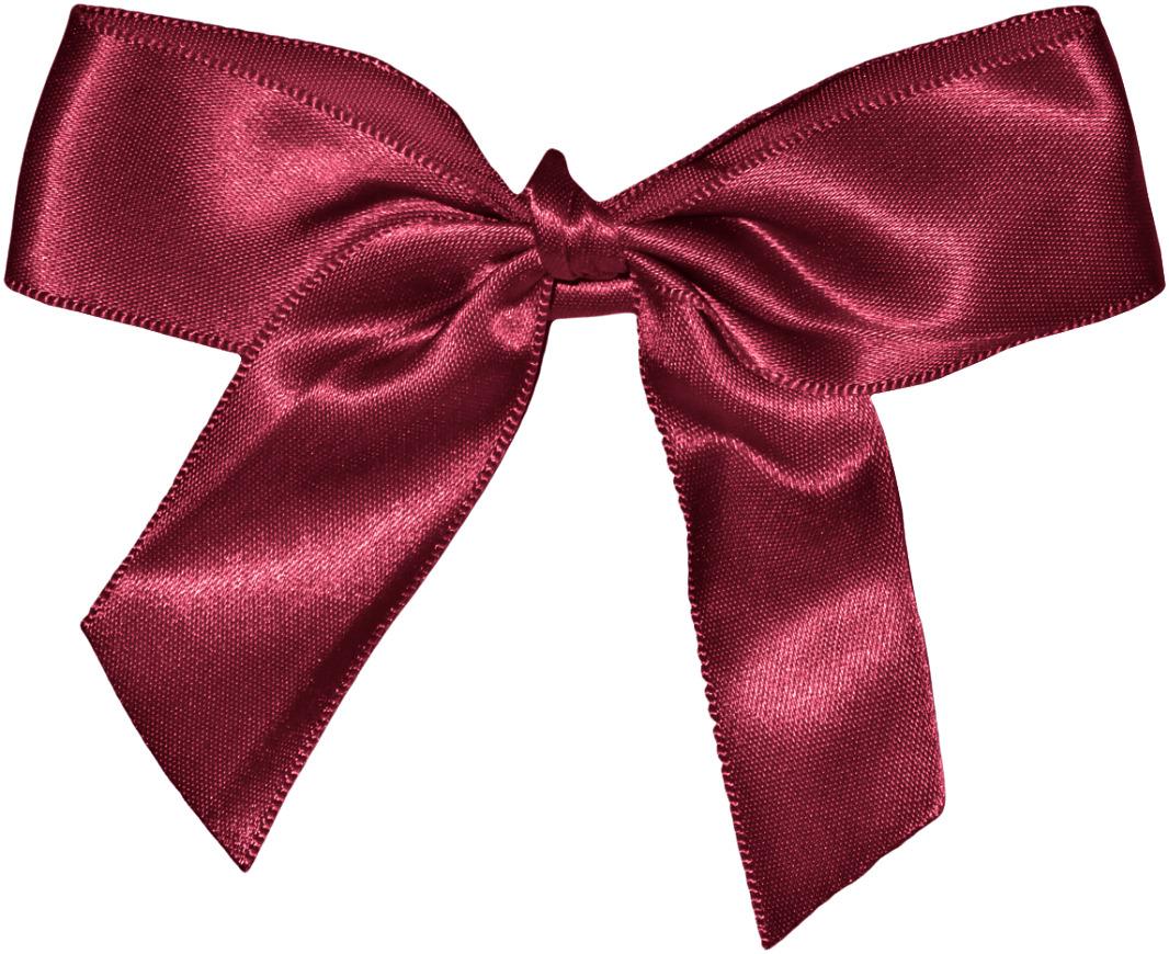 Bow Party png transparent
