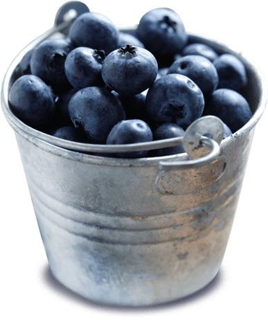 Bowl Of Blueberries png transparent