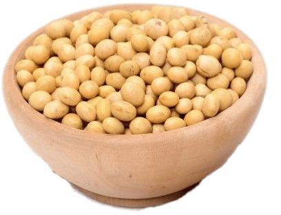 Bowl Of Dried Soybeans png transparent