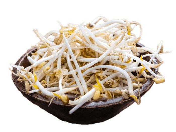 Bowl Of Soybean Sprouts png transparent