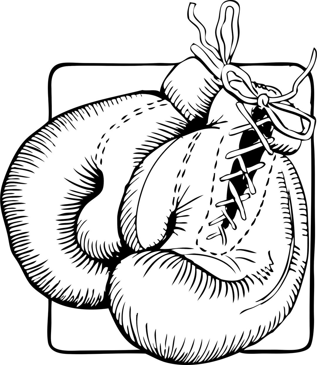 Boxing gloves png transparent