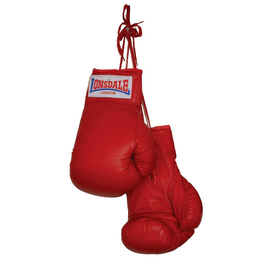 Boxing Gloves Duo png transparent