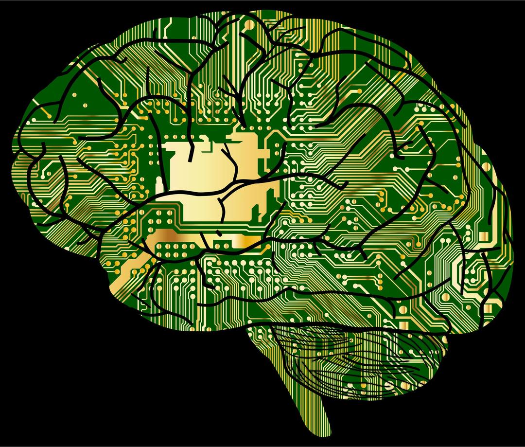Brain Computer With Background png transparent