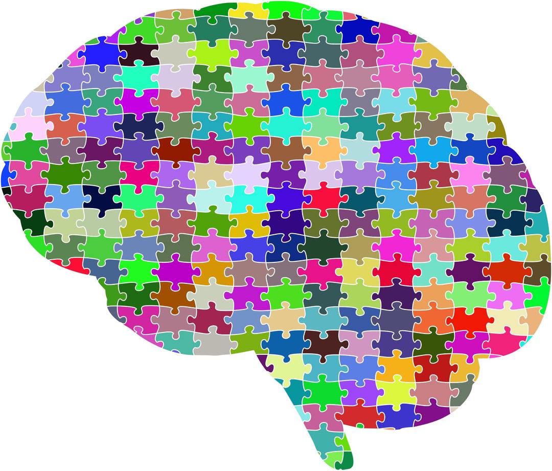 Brain Jigsaw Puzzle Prismatic With Stroke png transparent