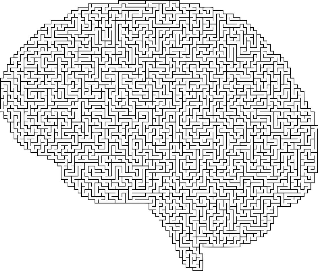 Brain Maze png transparent