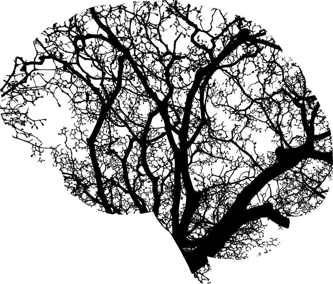 Brain Tree png transparent