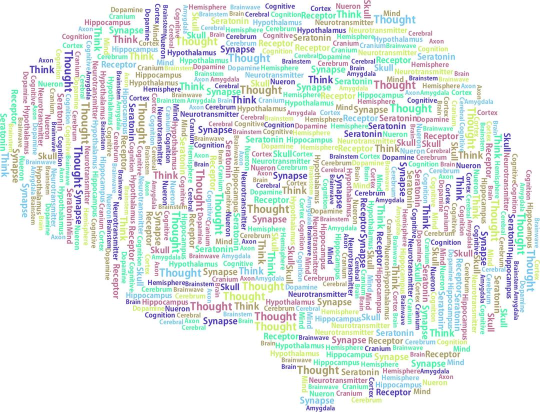 Brain Word Cloud Variation 2 png transparent