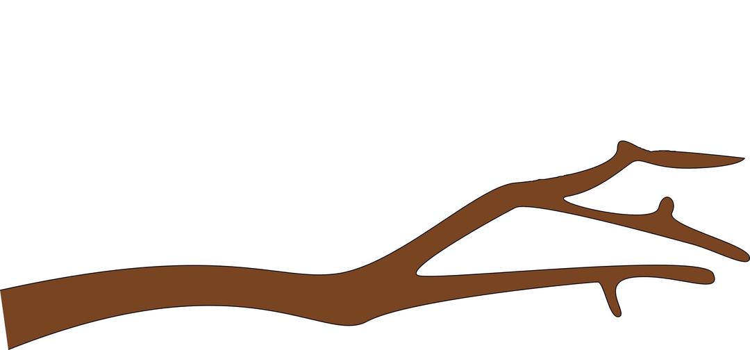 Branch Silhouette png transparent