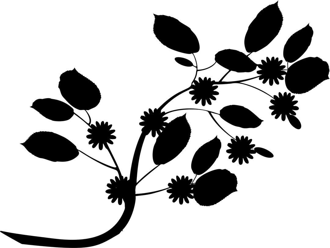 Branch With Flowers And Leaves Silhouette png transparent