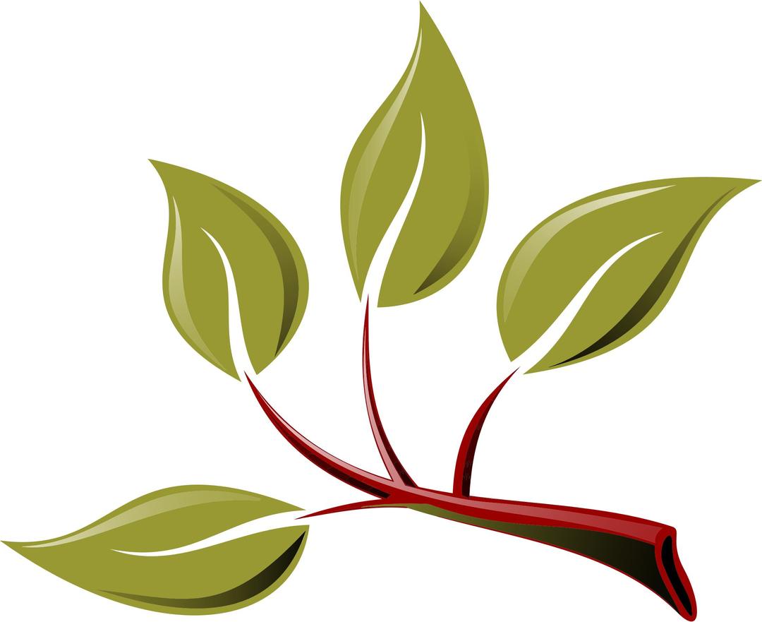 Branch With Leaves png transparent
