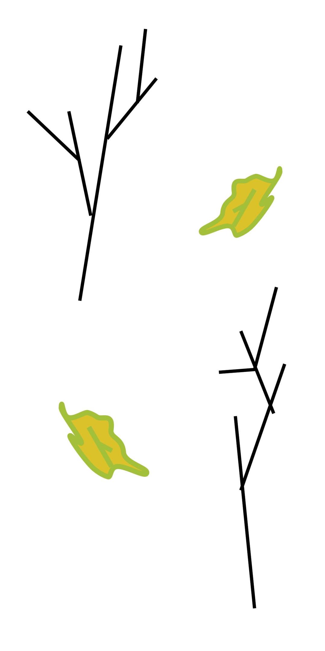 Branches and leaves png transparent