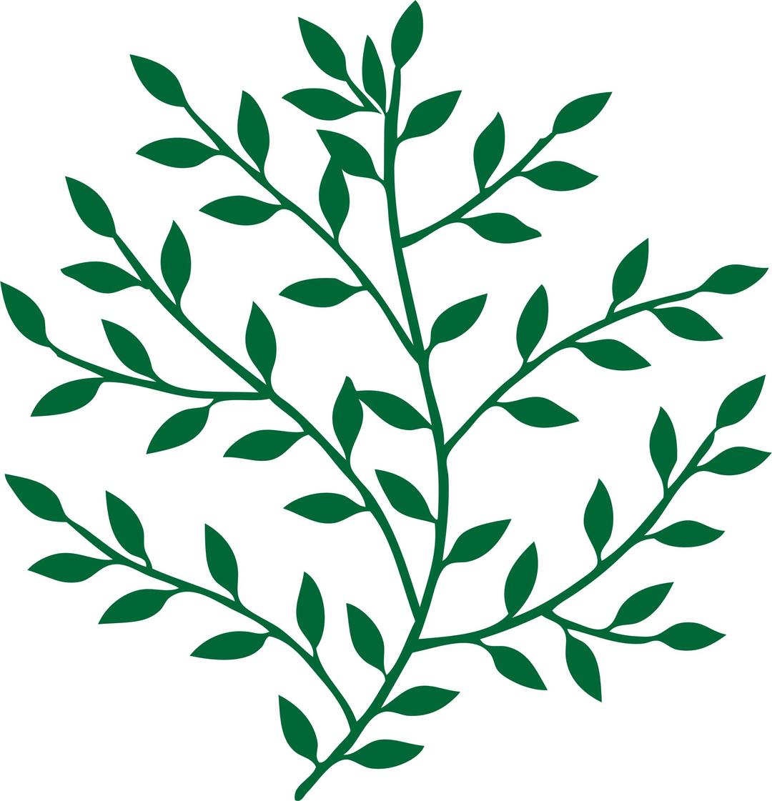 Branches With Leaves png transparent