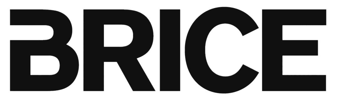 Brice Logo png transparent