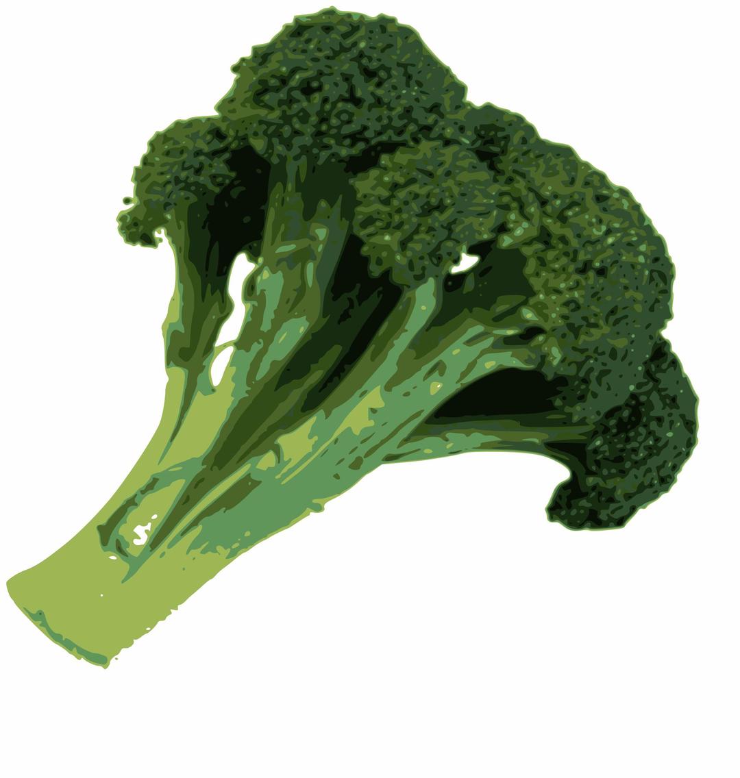 broccoli png transparent