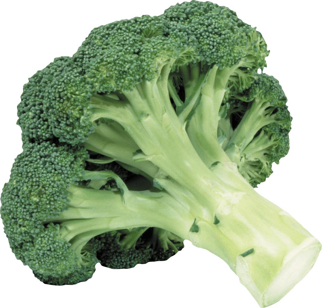 Broccoli png transparent