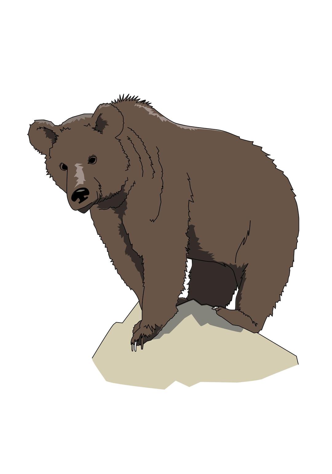 Brown bear png transparent