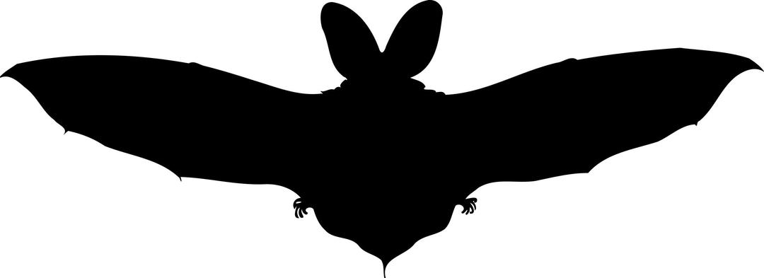 Brown long-eared bat silhouette png transparent