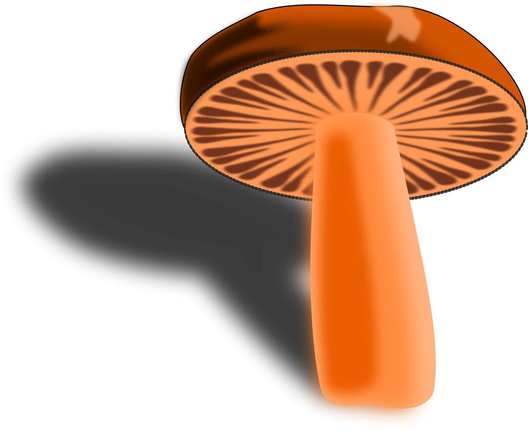 brown - orange mushroom png transparent