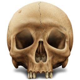 Brown Skull png transparent