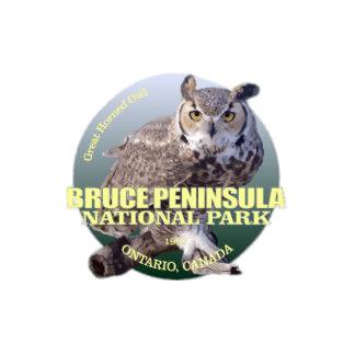 Bruce Peninsula National Park Owl Sticker png transparent