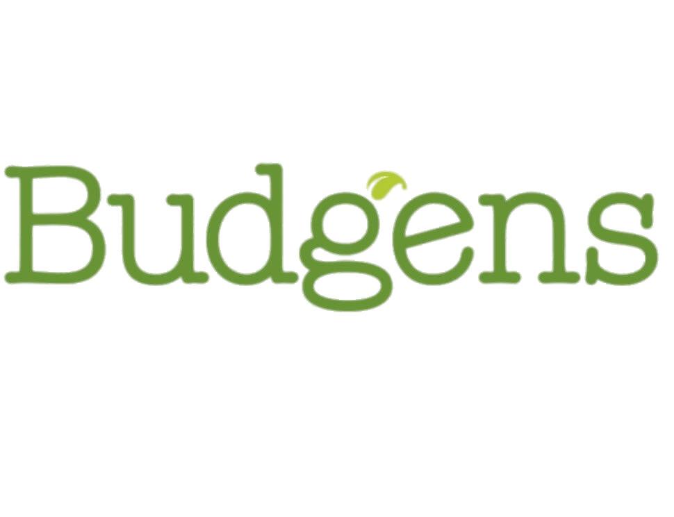 Budgens Logo png transparent
