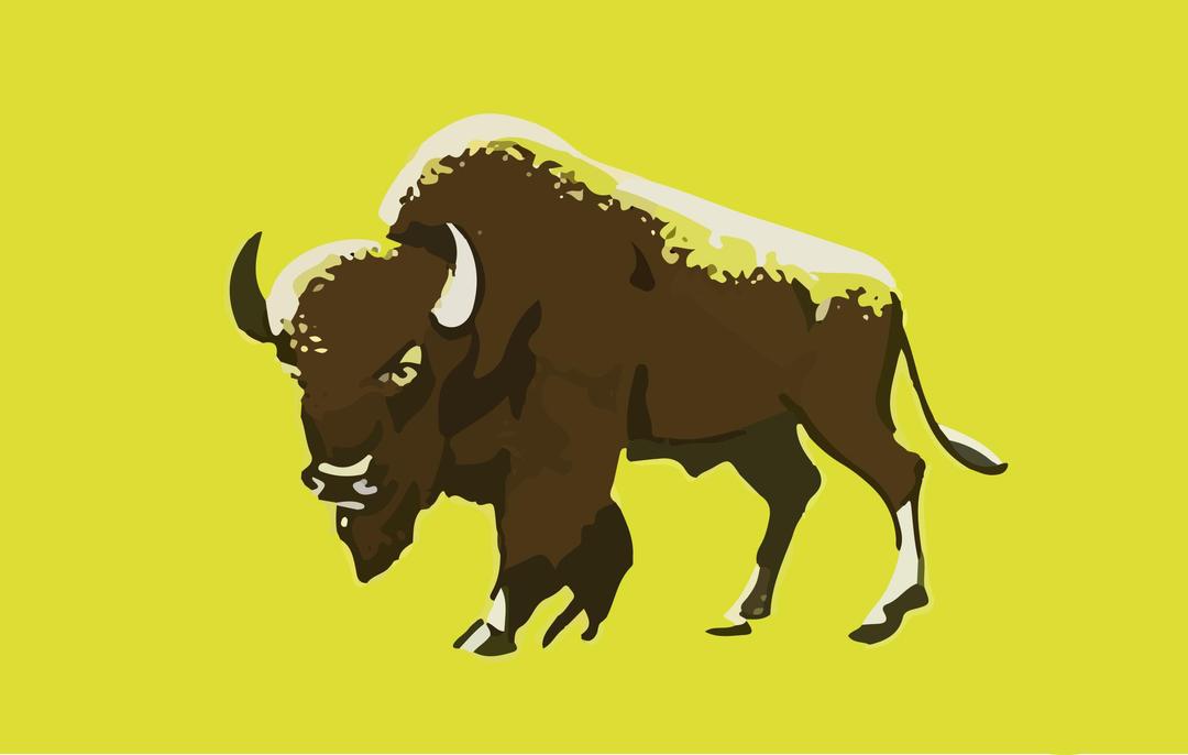 Buffalo on Green png transparent