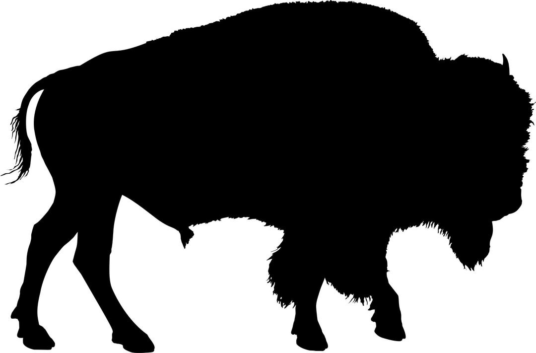 Buffalo Silhouette png transparent