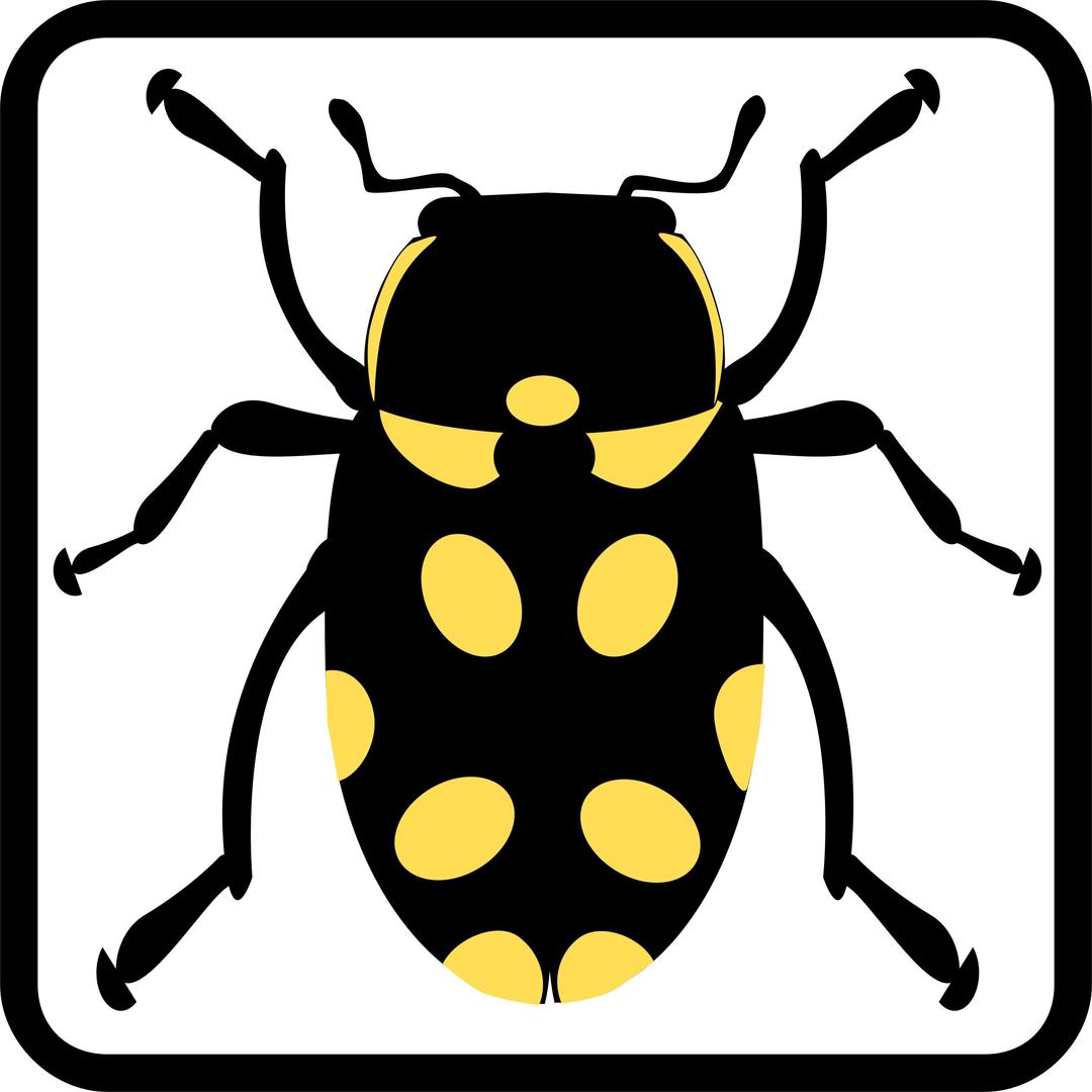 Bug Icon png transparent