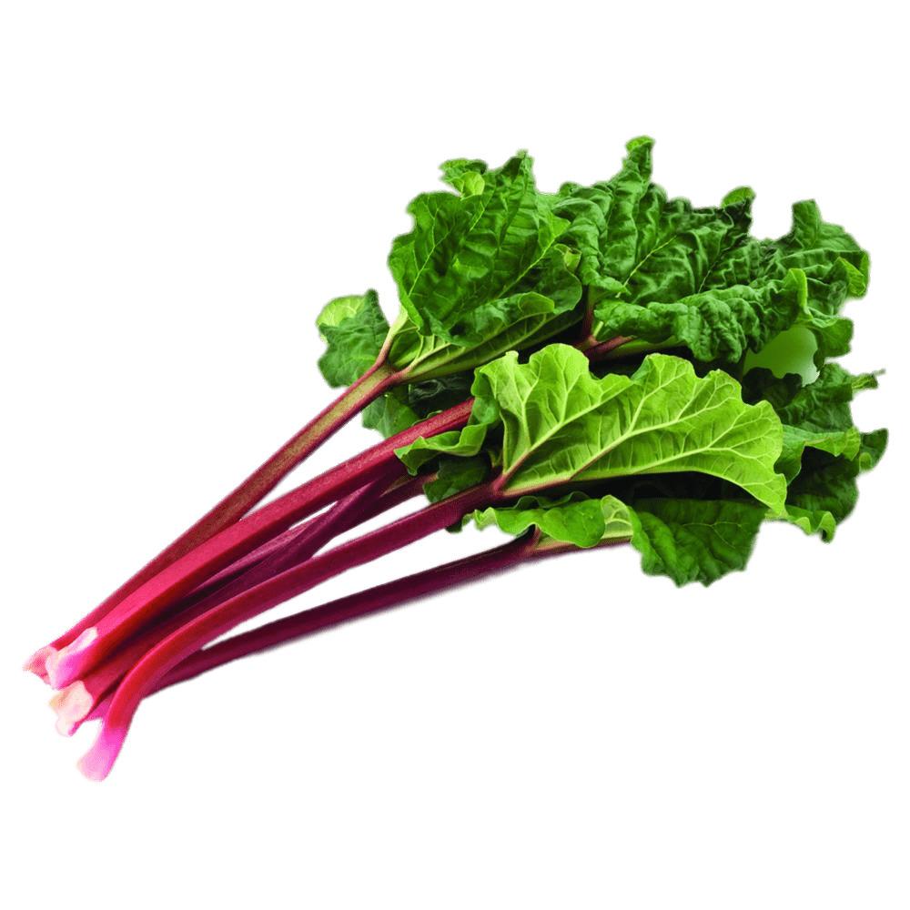 Bundle Of Rhubarb With Leaves png transparent