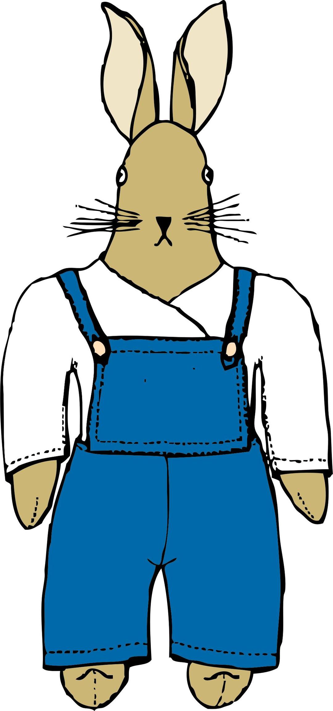 bunny in overalls front view png transparent